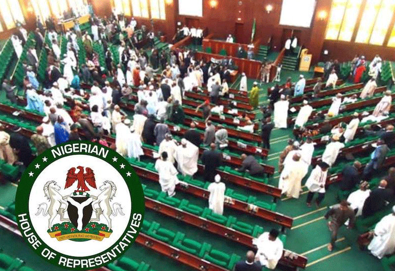 Bill to Increase Retirement Age of PWDs Passes Second Reading in House NIGERIA