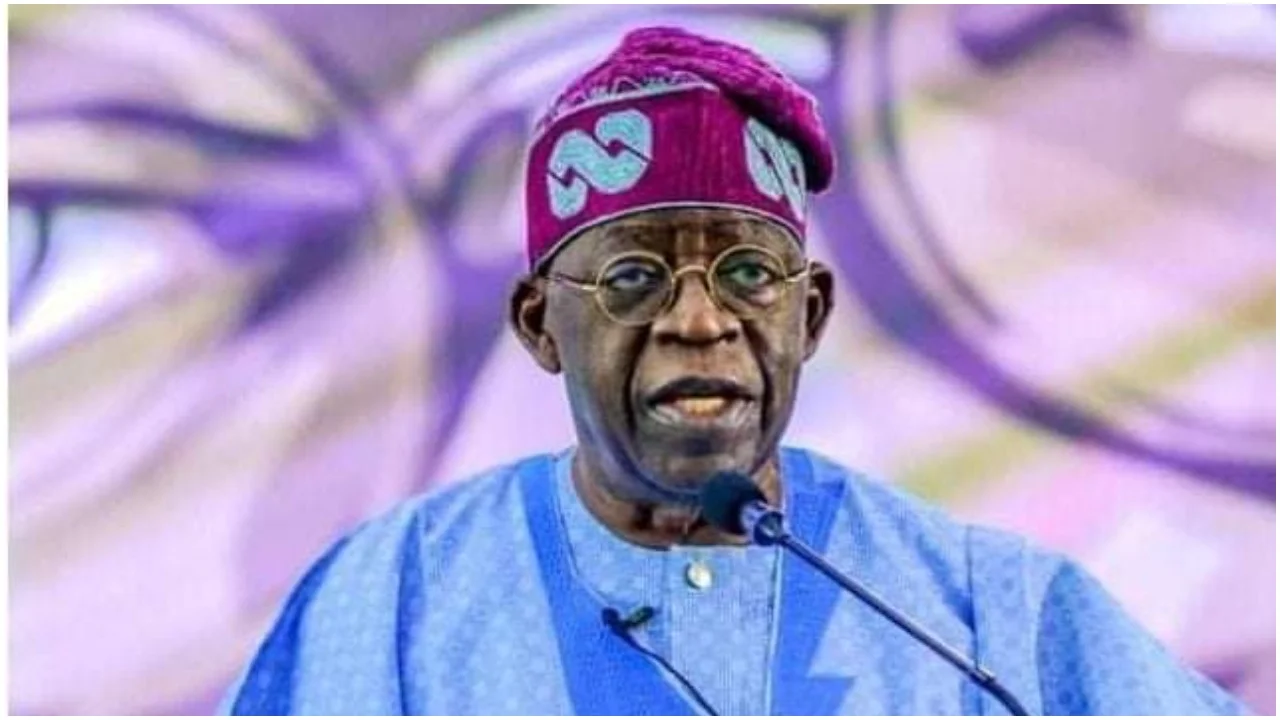 Muslim-Muslim Ticket: Tinubu warned against picking Shettima or Zulum