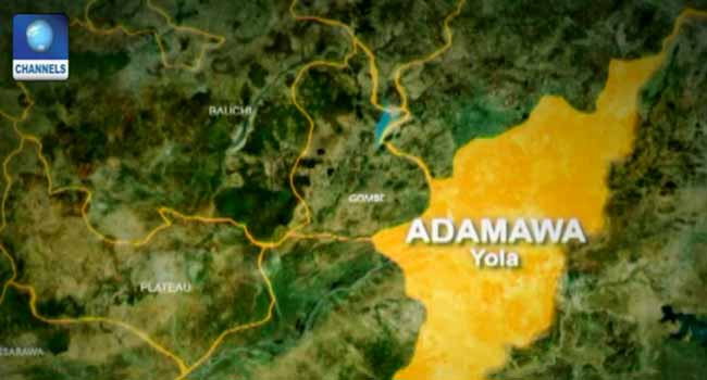 Gunmen Kill Adamawa Lawmaker, Shoot Son