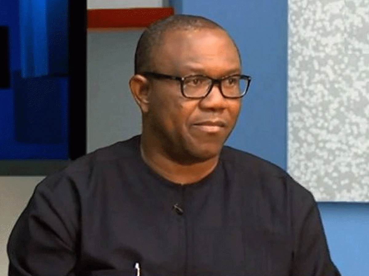 Social media support for Peter Obi will wane before 2023 "“ ADC