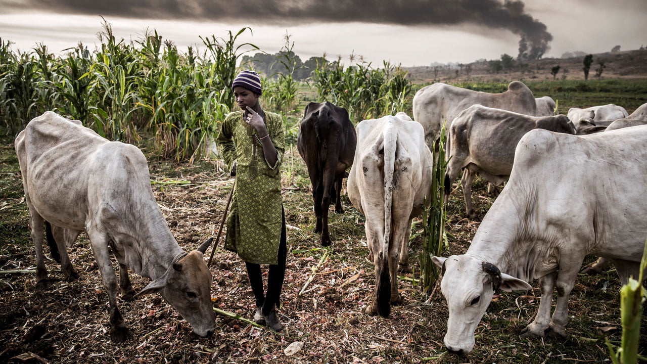 Anambra: Fulani herdsmen not responsible for killing in Umueri "“ Metchie