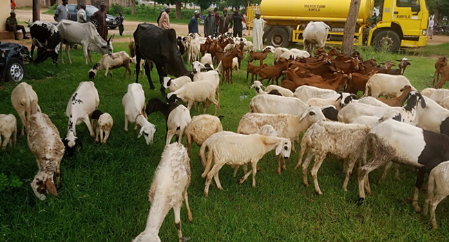 Police Repel Terrorists In Katsina, Recover Animals