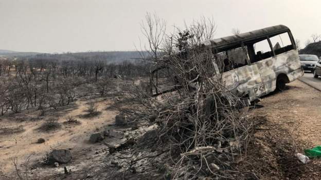 Algerians continue to battle deadly forest fires