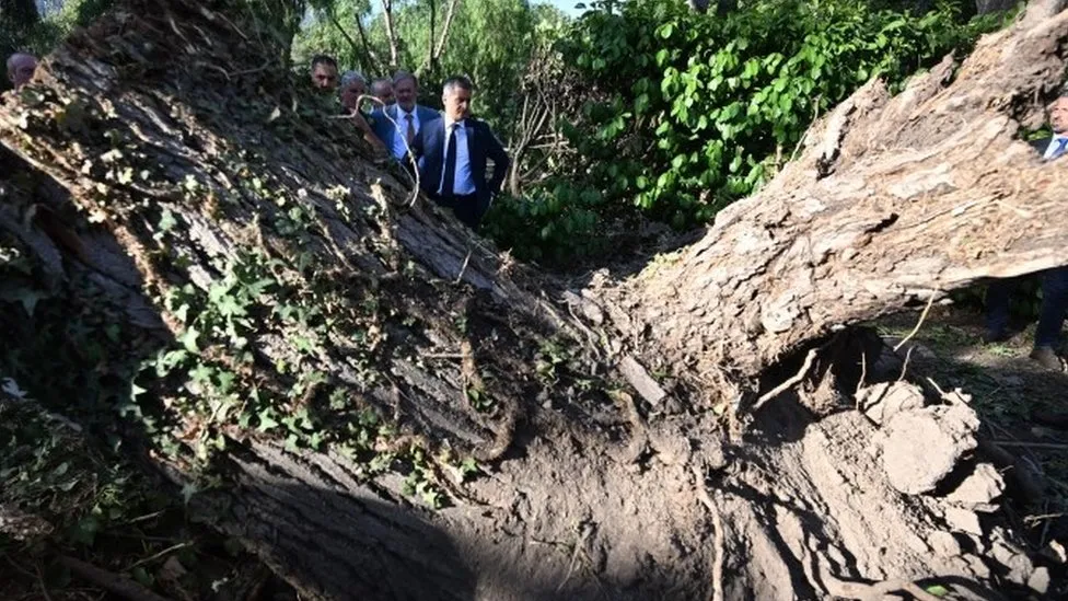 Europe storms: Deaths are reported in France, Austria and Italy