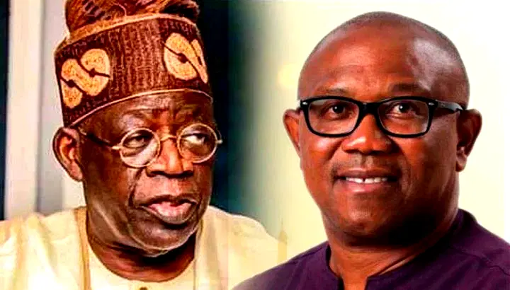 While Obi was selling tomato ketchup, Tinubu already paid his dues "“ Fani-Kayode