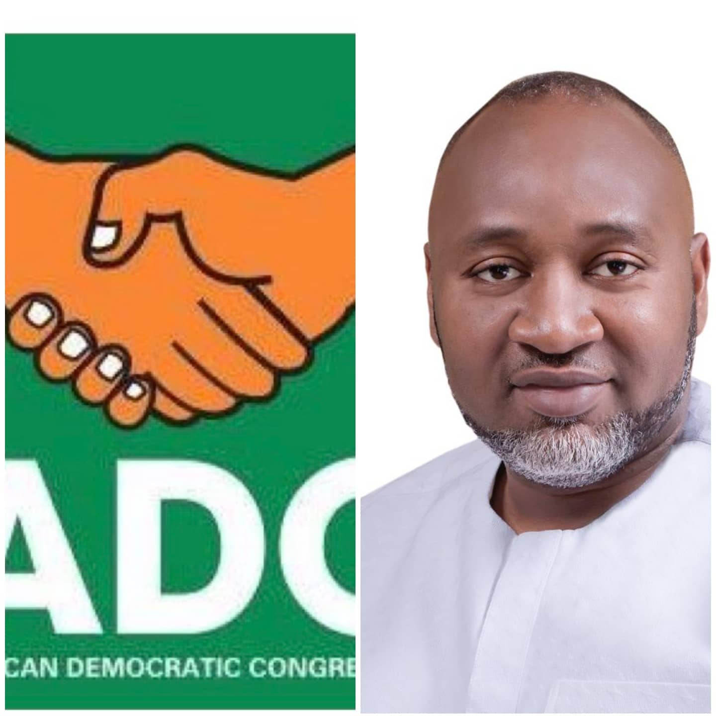 ADC expels Kachikwu, others from party