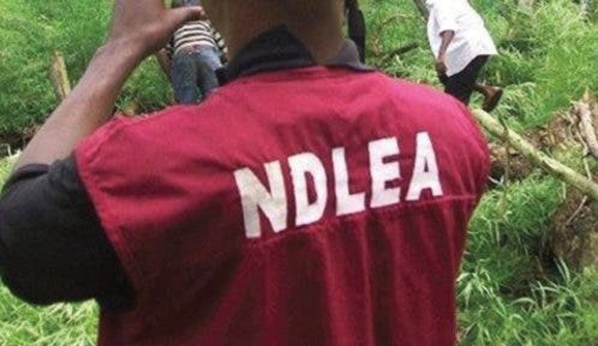 NDLEA raids drug joints, arrests 121 suspects, seals 13 properties in Kaduna