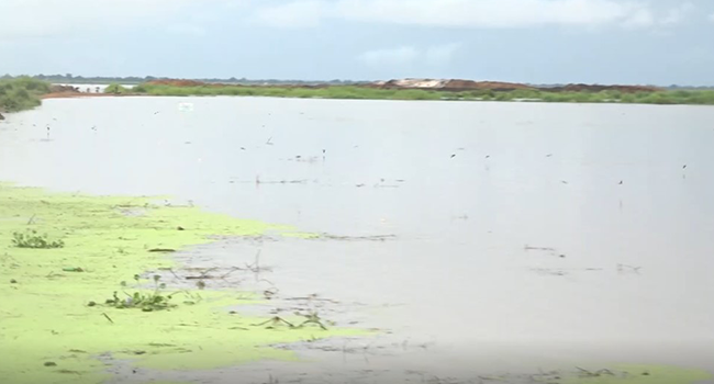 Major Rice Farm Hit By Flood In Nasarawa