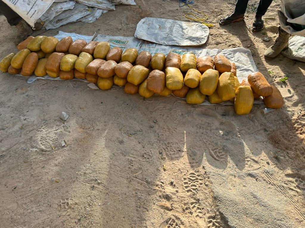 Troops intercept 98 parcels of cannabis in Yobe