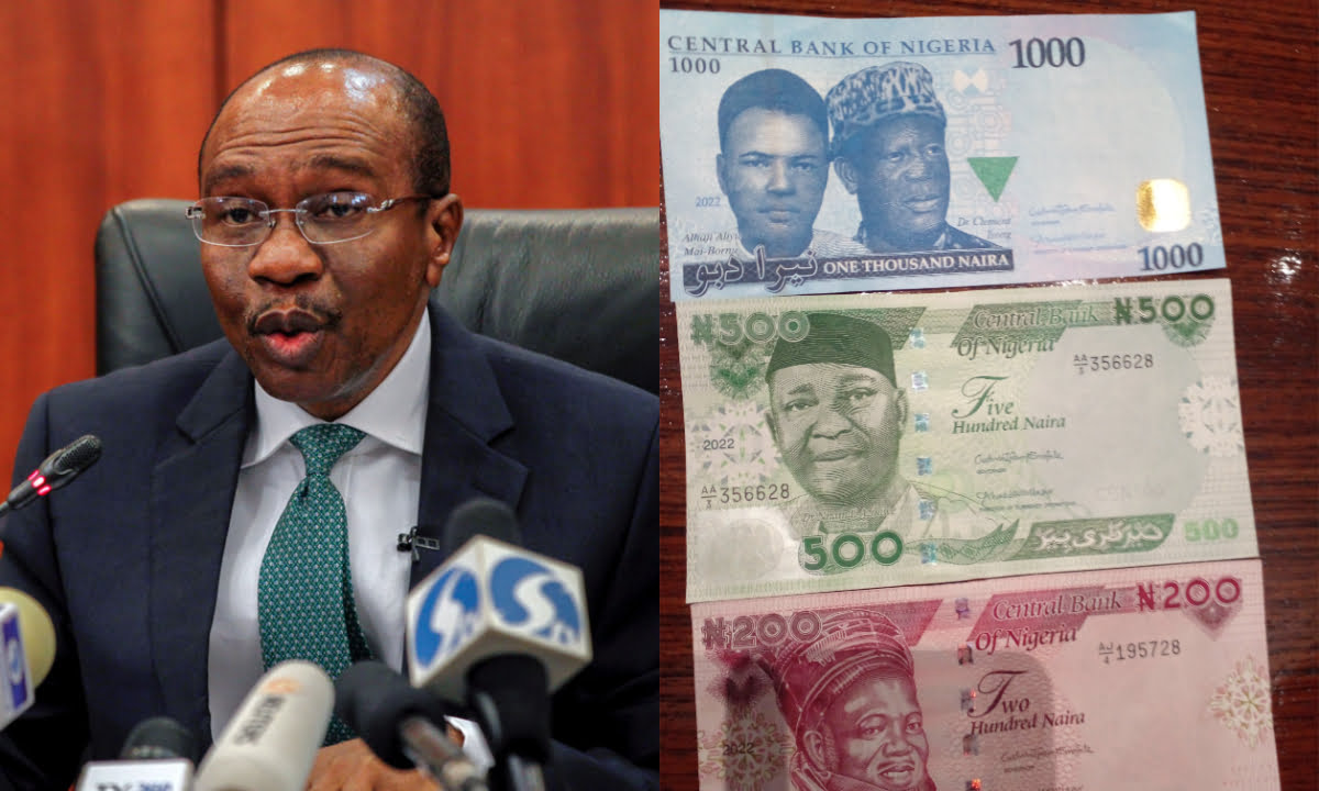 BREAKING: FG unveils redesigned naira notes to general public