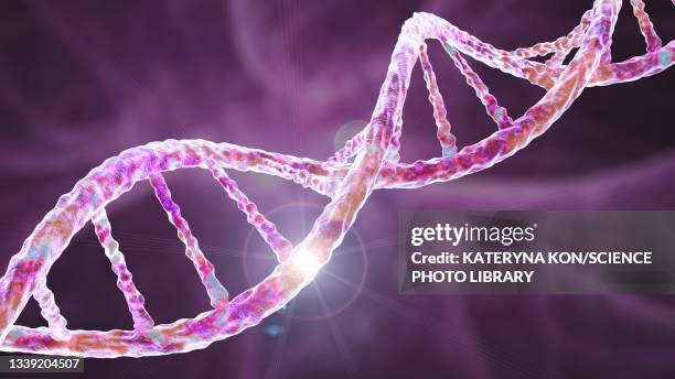 Chinese scientist behind gene-edited babies to speak at Oxford University