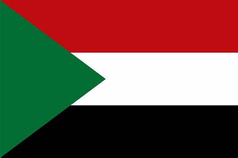 International economic support to Sudan will resume after the civilian government: UNSC