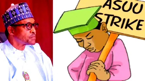 FG orders polytechnics, others to stop awarding degrees