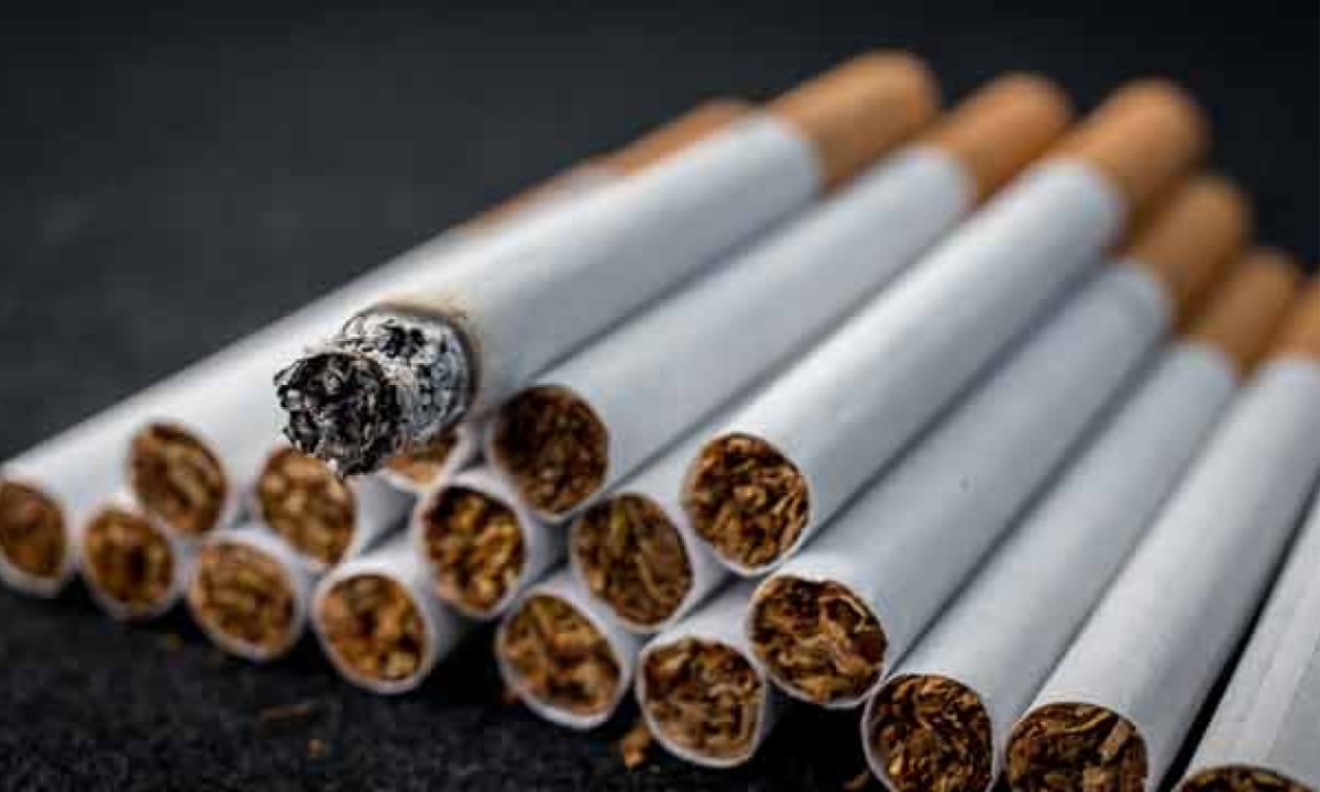 Experts call for policy review as Nigeria's Tobacco industry risks collapse