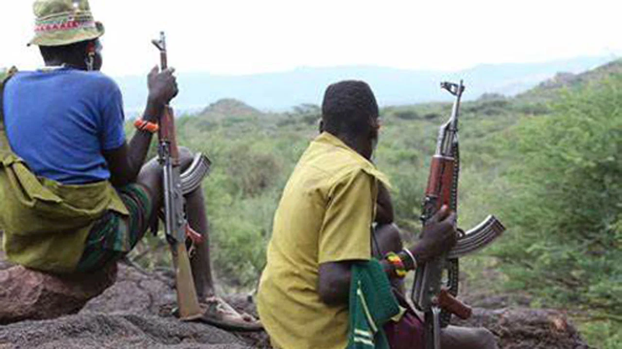 Terrorists' murder of 41 people jolts Katsina government