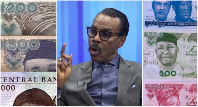 Naira Swap Policy May Affect Q1 2023 GDP By 5% "“ Rewane