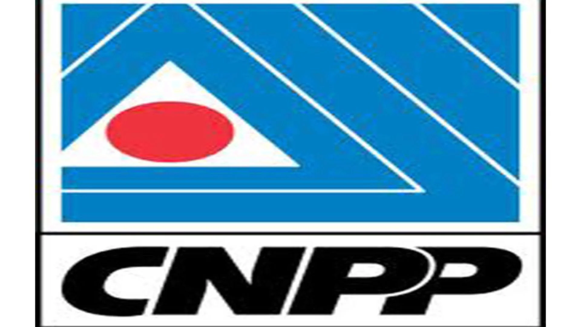 Presidential election: CNPP reveals who to blame for controversial results