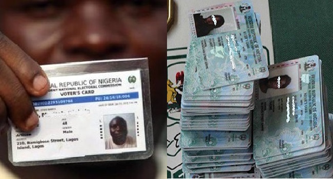 Allow Use Of Temporary Voter Card For Gov Elections, Court Orders INEC