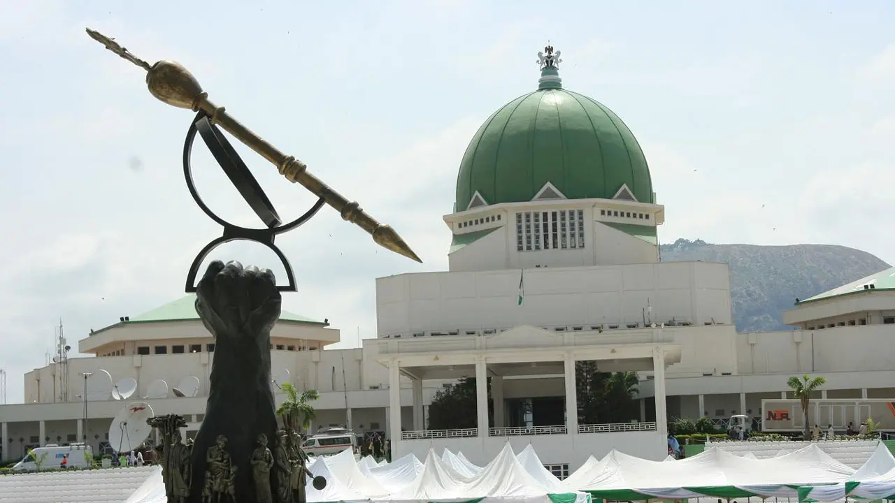 Children, wives of politicians grab National Assembly seats
