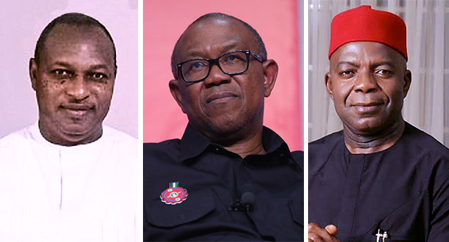 Gov Elections: Labour Party's Hopes Hang On Abia, Enugu