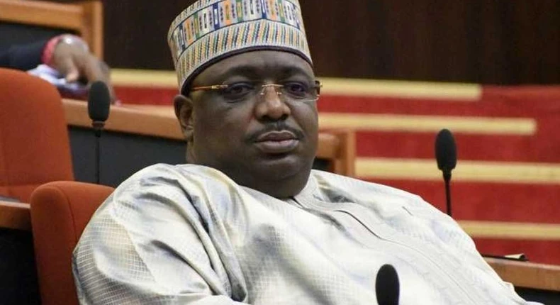 Labour Party tsunami sweeps three-term Abuja senator away - Minister