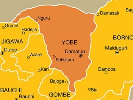 Boko Haram Attacks Customs House In Yobe, Kills Officer