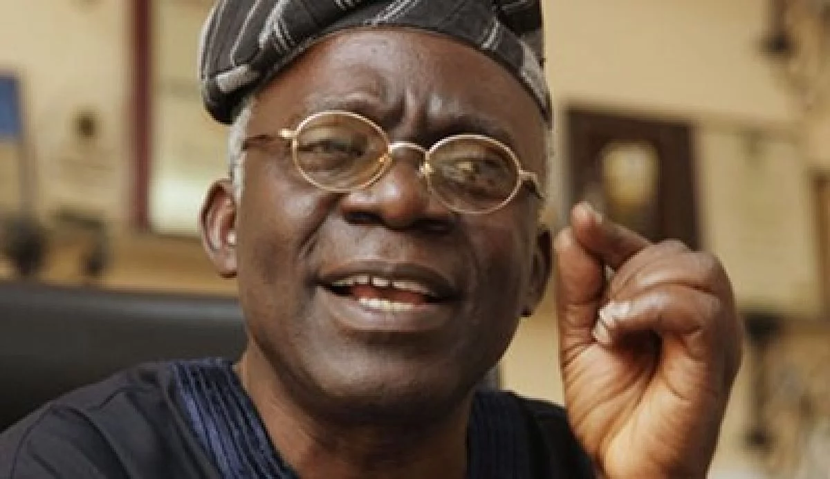 Supreme Court shouldn't determine winners of elections "“ Falana