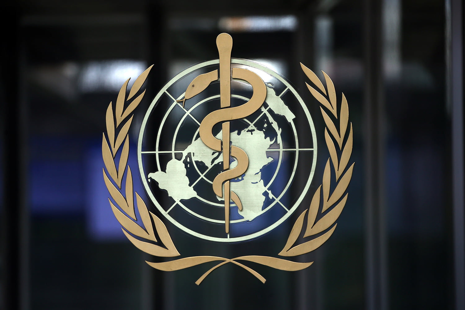 Cancer killed over 500,000 Africans in 2022 "“ WHO