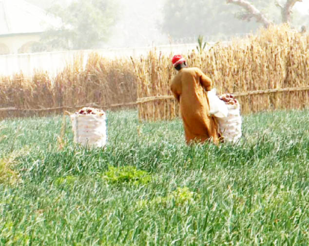 FOOD SCARCITY: Zulum Offers Petrol Subsidy To Farmers