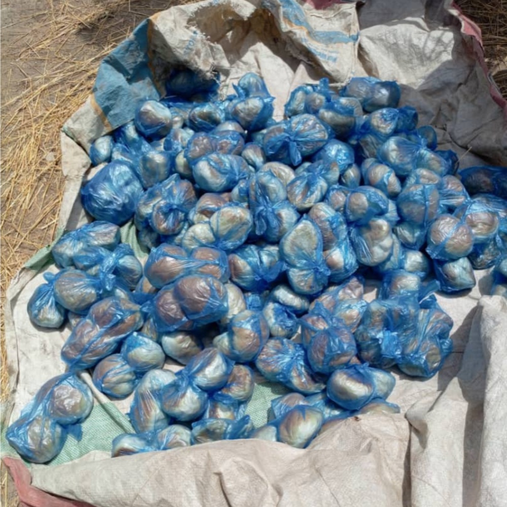 Troops discover ISWAP bread factory