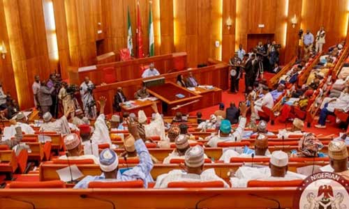 Senate approves establishment of North West Development Commission