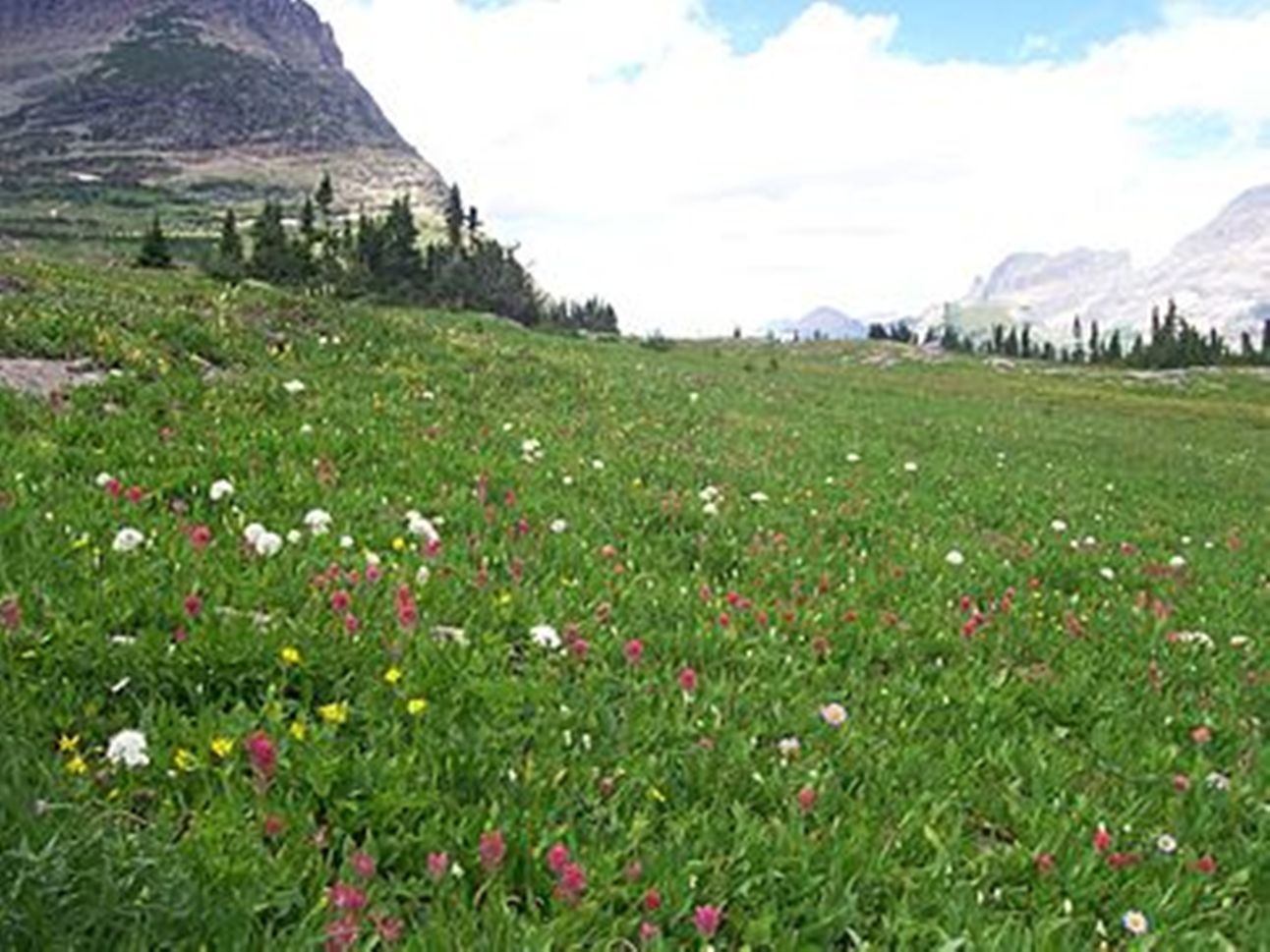Plateau to domesticate climate change policy