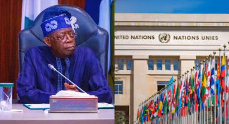 Tinubu has brought remarkable progress to Nigeria - United Nations