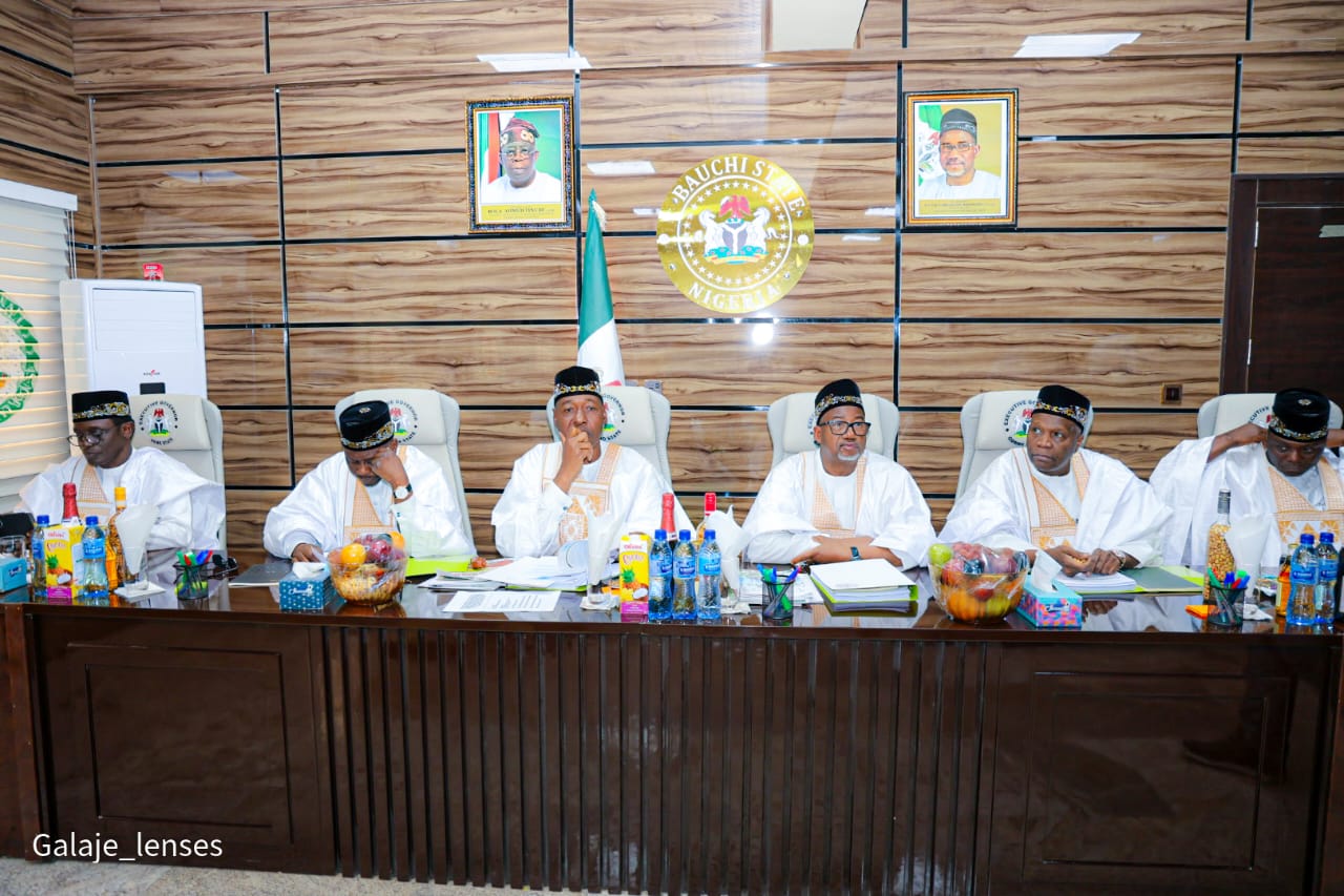 Northeast governors decry blackout in region, plan to establish solar power plants