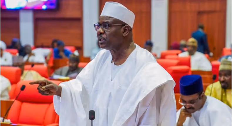 'Speaking the truth, a crime in APC' - Labour Party on Ndume saga