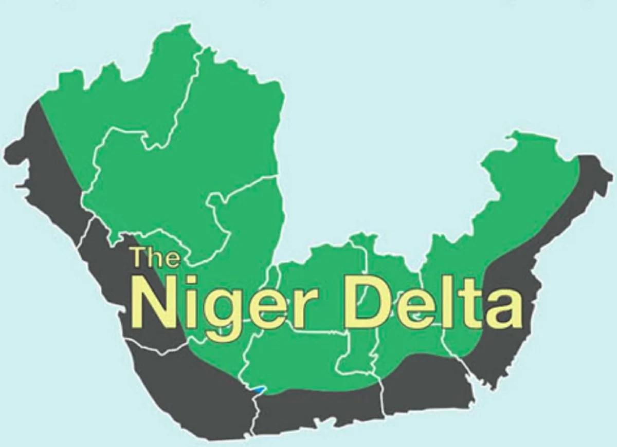 Selfish leaders behind calls to boycott protests "” Niger Delta group
