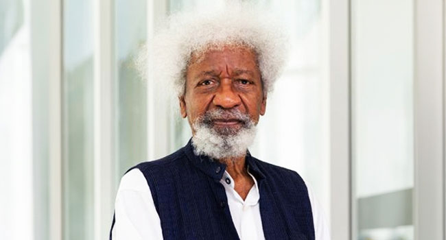 Tinubu's Speech Didn't Address Brutal Crackdown On Protesters, Says Soyinka