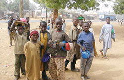 Almajiri system must end in five years or risk regional collapse — Group