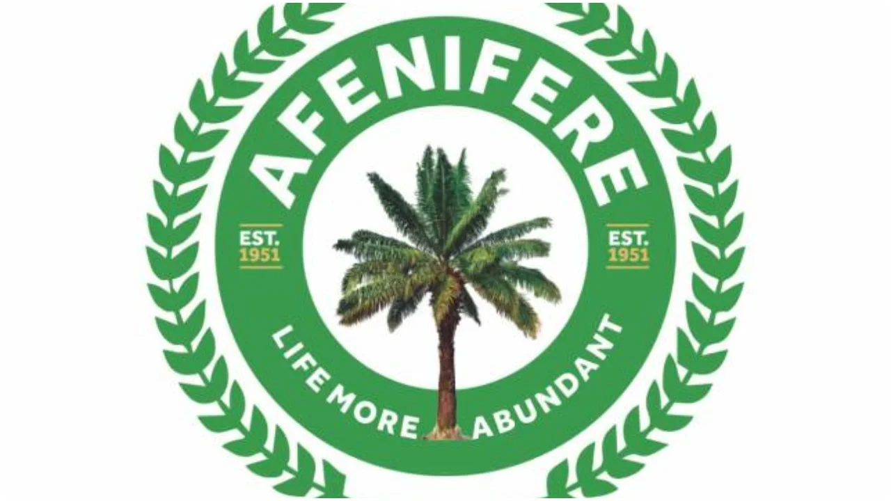 2023: Southern Nigeria has qualified people as president "“ Afenifere dismisses Northern elders' position