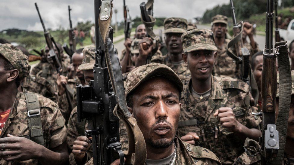 Ethiopia's Tigray crisis: Citizens urged to defend Addis Ababa against rebels