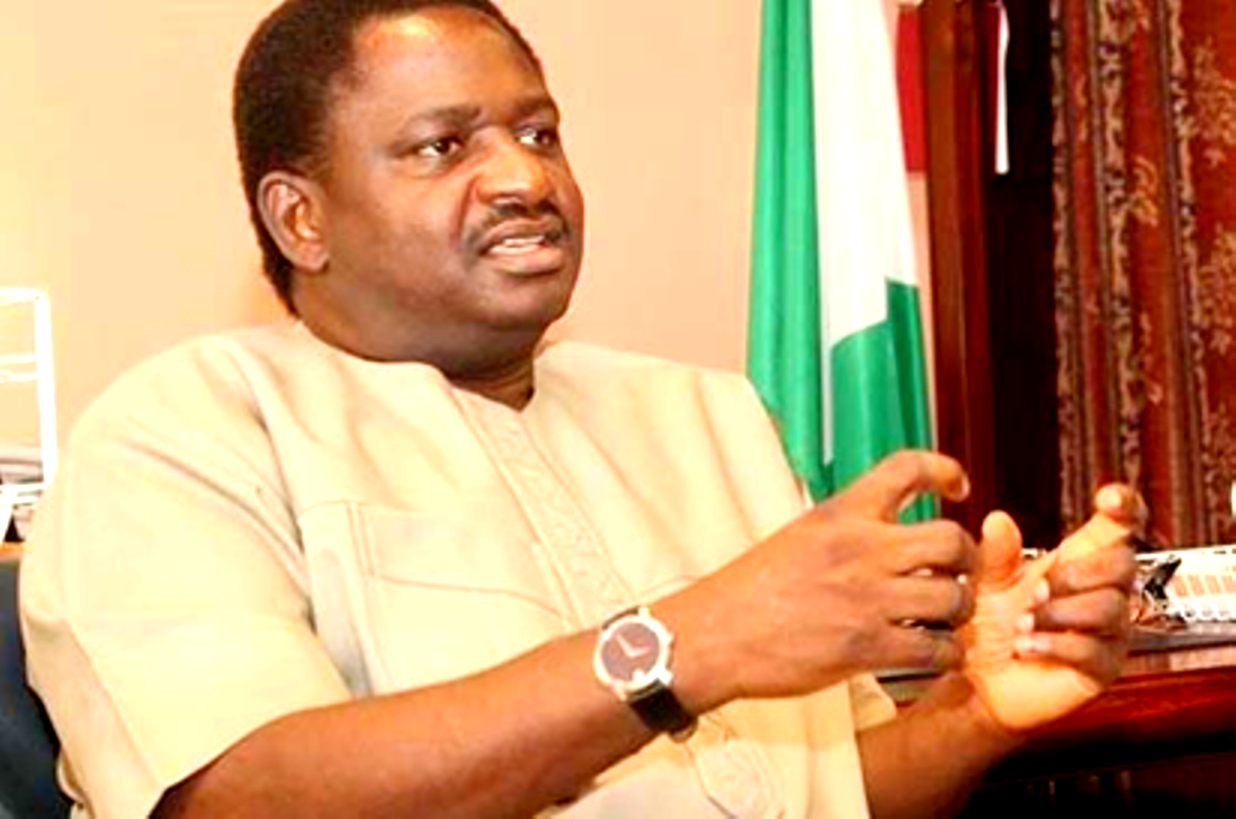No longer army of anything goes "“ Femi Adesina