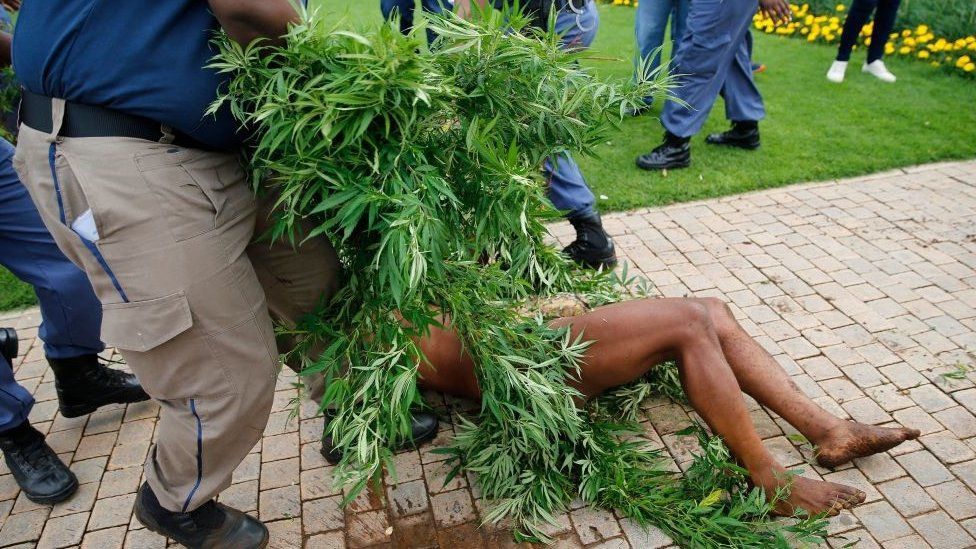 South Africa's 'King Khoisan' arrested over cannabis plants at president's office