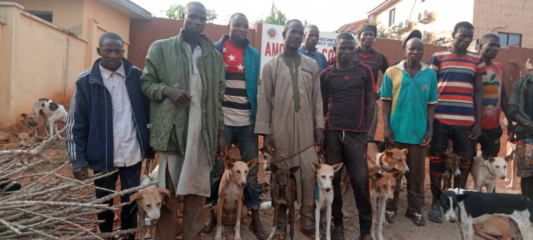 Amotekun arrestes 17 northerners with 35 dogs, charms, cutlasses in Ondo