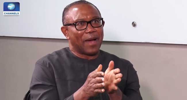 "˜I Will Run For President If PDP Zones Ticket To South,' Says Peter Obi