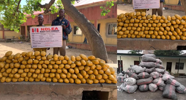 NDLEA Seizes 22,160 KG Worth Of Illicit Drugs In Lagos