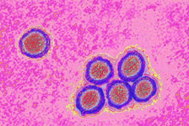Tanzania launches yellow fever vaccination amid outbreak