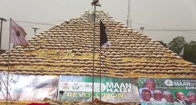 Food Security: FG Unveils Second Maize Pyramid in Kaduna
