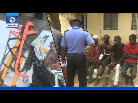 Police Arrest 12 Suspected Terrorists, Recover 40 Rustled Cattle In Katsina