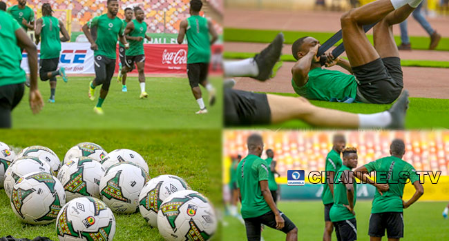 NFF Begins Search For Super Eagles' Coaches After World Cup Miss