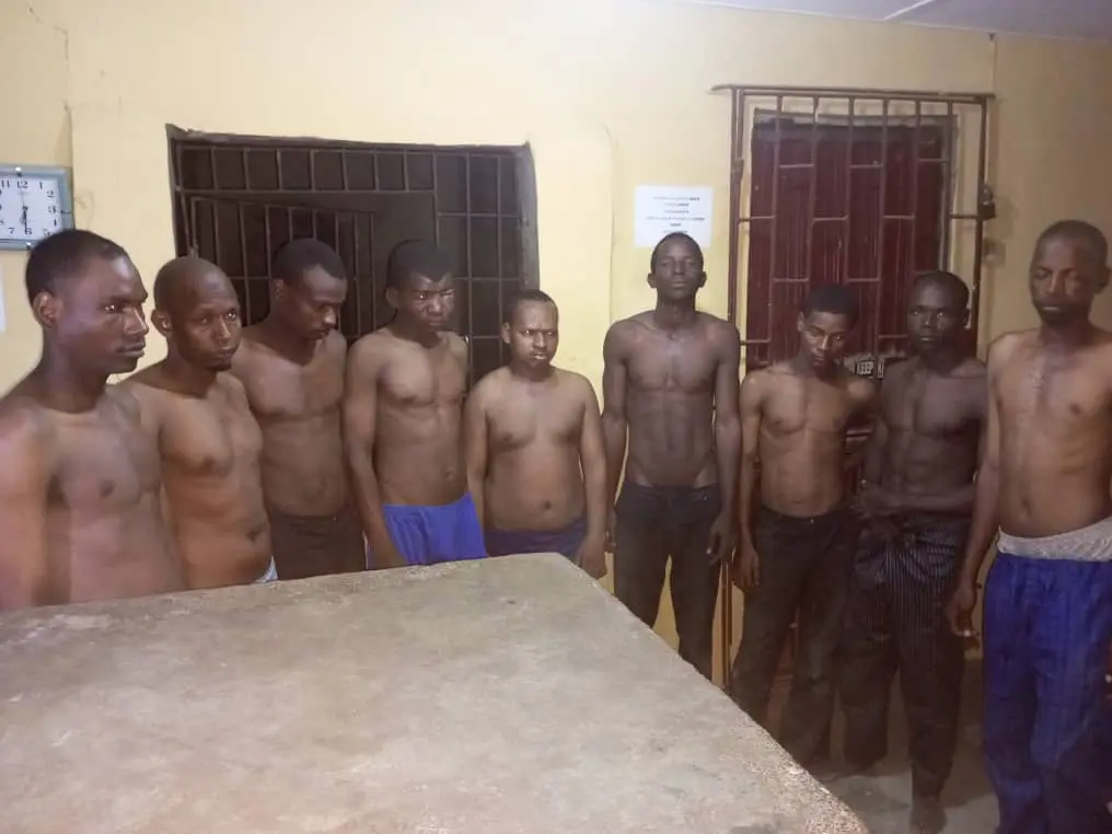 Police, Amotekun, OPC, others storm Ogun kidnappers' hideout, arrest nine